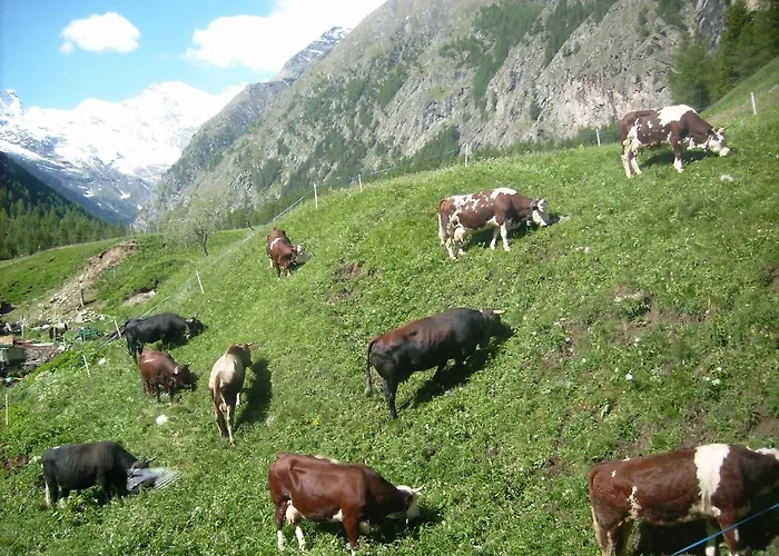La Ferme Du Grand Paradis